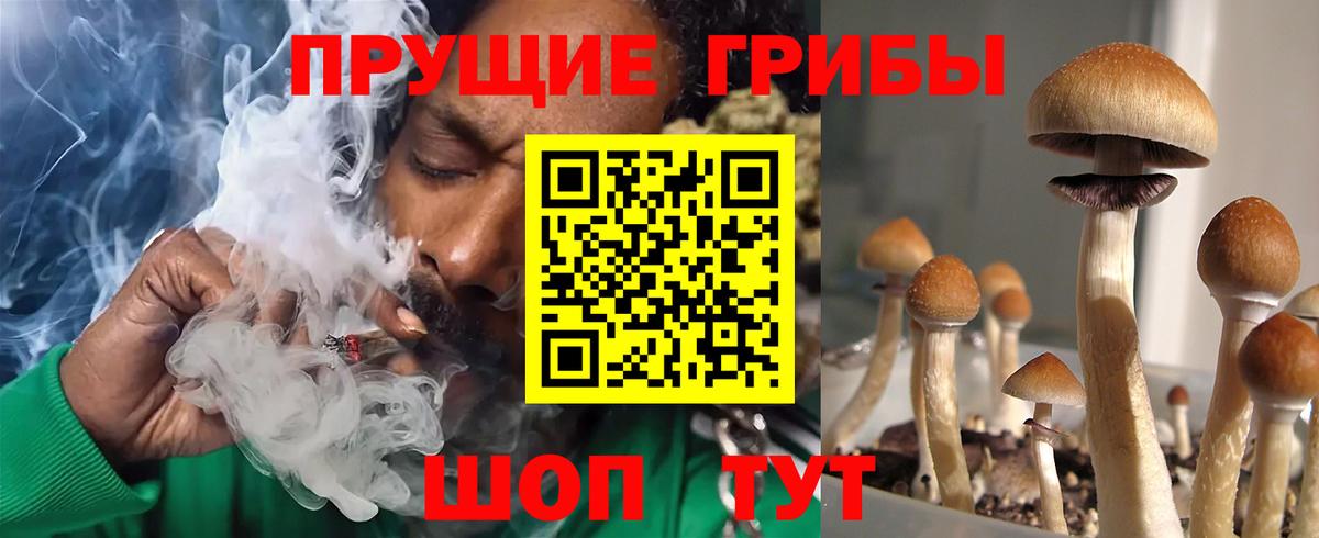 Псилоцибиновые грибы Psilocybine cubensis Сочи